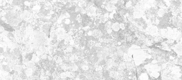 Textured Ruwe Witte Steen Zandsteen Oppervlak Close Natuurlijke Rock Beeld — Stockfoto
