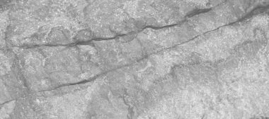 Katı, pürüzlü, beyaz kumtaşı yüzeyi. Doğal kaya görüntüsünü kapat