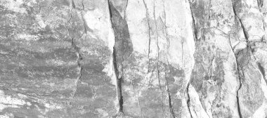 Katı, pürüzlü, beyaz kumtaşı yüzeyi. Doğal kaya görüntüsünü kapat