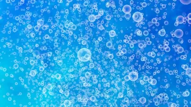 Абстрактный Фон Пузырями — стоковое видео