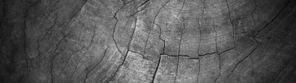 Panoramiczny Stary Grunge Teksturowane Drewniane Tło Drewniana Powierzchnia Tekstury Tła — Zdjęcie stockowe