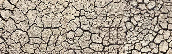 Panoramic Fracture Surface Dry Terrain Cracked Ground Background — Stock Photo, Image