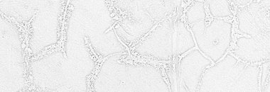 Grunge beyaz çimento duvar arka planı. Renkli beton Doku Arkaplanı