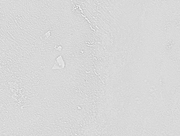 Grunge beyaz çimento duvar arka planı. beyaz beton Doku Arkaplanı