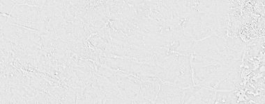 Boş beton doku arka planı. Grunge Çimento Duvarı Arkaplanı.