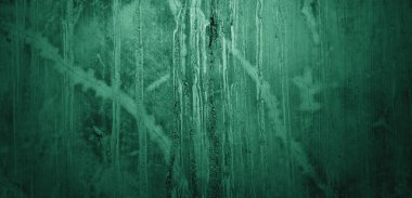 Yeşil duvar dokusu. Soyut arkaplan. Arka plan için koyu çimento dokusu. Korkunç beton