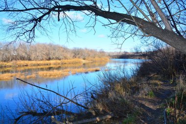 Sibirya köyleri boyunca akan nehir..