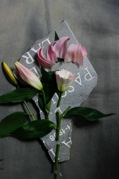 Triste foto de una flor de lirio rosa en un pedazo de lápida — Foto de Stock
