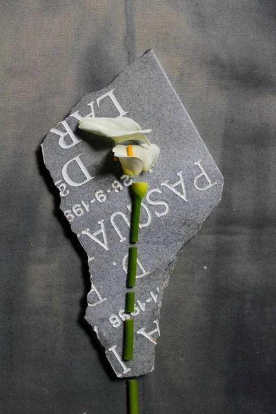 Triste foto de una flor de cala cortada en pedazos sobre un trozo de lápida — Foto de Stock