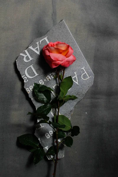 Triste foto de una rosa rosa rosa y naranja en un trozo de lápida — Foto de Stock