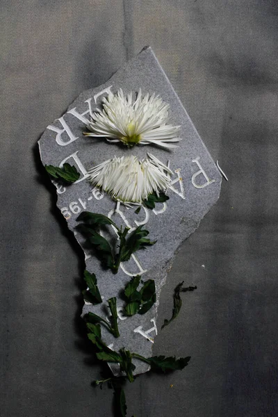 Sad photo of a cut in pieces yellow chrysanthemumflower on a piece of gravestone — Foto de Stock