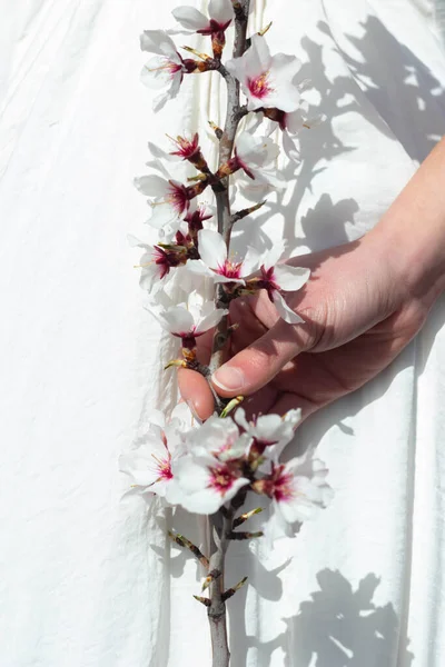 De cerca la mano de las mujeres sosteniendo una rama con flores en vestido blanco y sombras — Foto de Stock