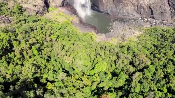 Överst Sidan Flygfoto Över Wallaman Falls Girringun National Park Queensland — Stockvideo