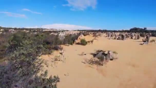 孤独と西オーストラリア州のピナクルズ砂漠のない人々の風景のドローン航空ビュー 黄色の砂の砂漠 — ストック動画