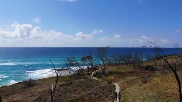 Widok Lotu Ptaka Chodnik Pięknym Naturalnym Basenem Basenów Szampana Wyspie — Wideo stockowe