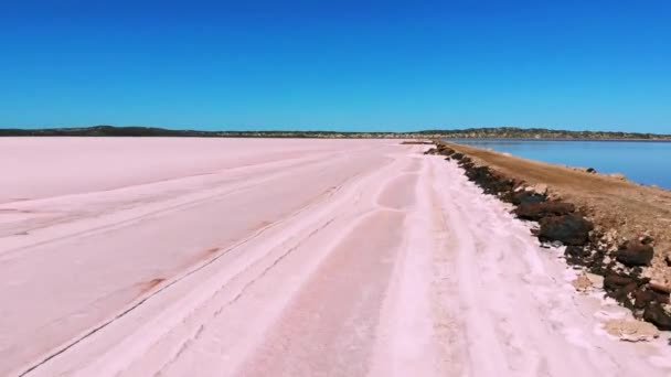 Flygfoto Flyger Längs Vacker Rosa Salt Sjö Australien Med Blå — Stockvideo
