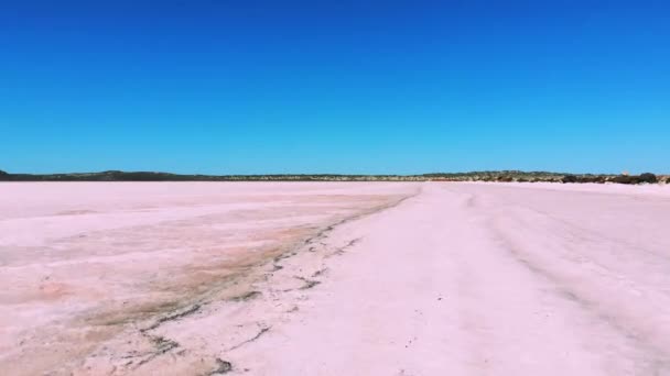 ポートグレゴリー 西オーストラリア州の美しい塩ピンクの湖の上空飛行ドローンビュー — ストック動画