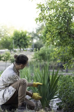 Bahçedeki bitkilerle ilgilenen tanınmayan genç adamın dikey görüntüsü.