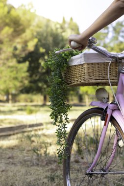 Vertical view of unrecognizable young woman holding a pink bike with retro style with fresh plants around