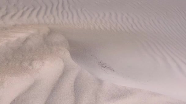 Windy Day White Sand Beach Dunes Forming Waves Air Flowing — Video Stock
