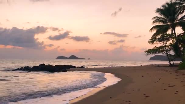 Sunset Time Landscape Beach Cape Tribulation Queensland Australia — Video Stock