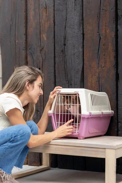 Kadının Evcil Kedisini Veterinere Götürüp Hayvanı Sakinleştirdiği Dikey Görüntü — Stok fotoğraf