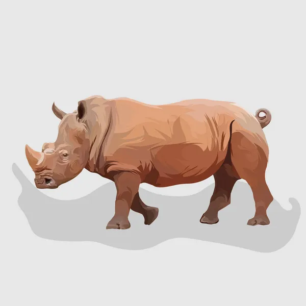 Rhino Απομονωμένο Ρεαλιστικό Χέρι Σχεδιάζεται Διάνυσμα Και Εικόνες Λευκό Φόντο — Διανυσματικό Αρχείο