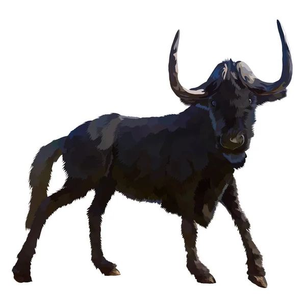 Preto Wildebeest Vetor Branco Fundo — Vetor de Stock