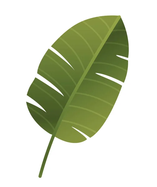 Ikona Tropických Rostlin Velký Zelený List Filodendronu Realistickými Stíny Životní — Stockový vektor