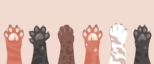 Cat paws icon collection. Graphic elements for pet store website. Caring for nature and love for animals, pets. Poster or banner. Cartoon flat vector illustrations isolated on pink background