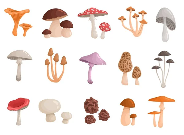 Set Forest Wild Mushrooms Stickers Aspen Champignon Chanterelle Amanita Pale – stockvektor