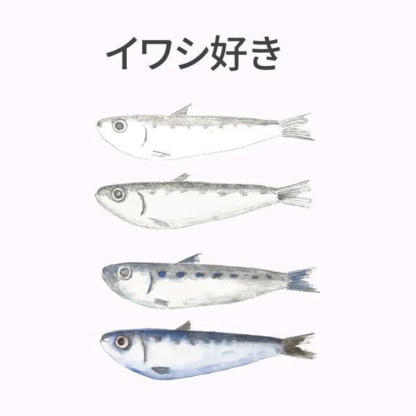 Japanische Fischvektorpastellfarbene Koinobori Schichten Und Japanische Kanji Buchstaben Passend Für — Stockvektor