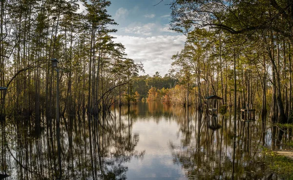 Scena na rampie w Dead Lakes — Zdjęcie stockowe