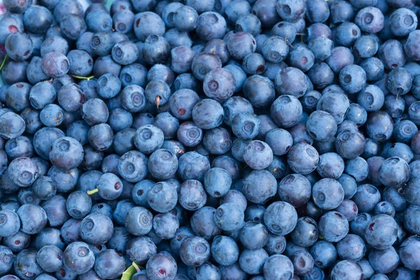 Placer Blueberries Μακροεντολή Απομονωμένη Κόκκινα Και Πράσινα Φύλλα Και Χωρίς — Φωτογραφία Αρχείου