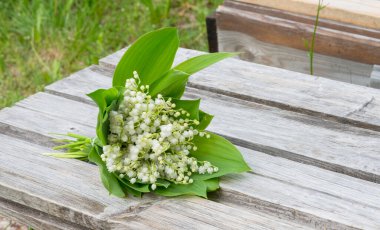 Gri ahşap bir bankta lüks bir buket