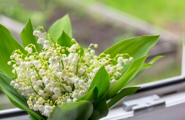 Yeşillik vadide narin bir bahar çiçeği buketi.