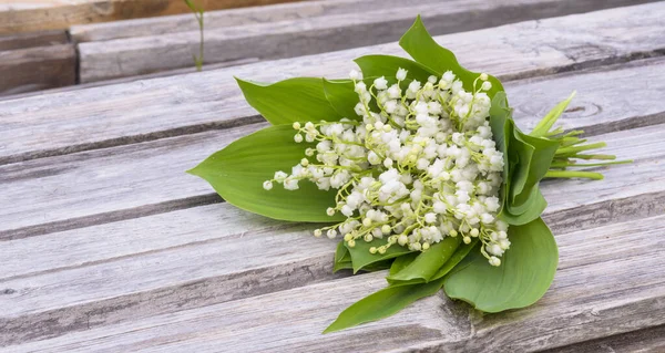 Solmuş ahşap bir bankta, vadinin narin zambaklarından bir buket var.