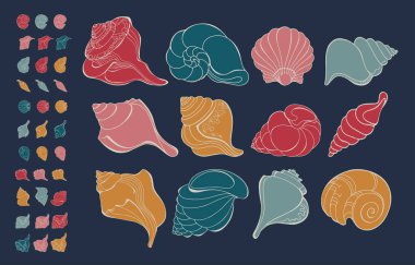 Deniz kabuğu. Çizgi film mermisi seti. El yapımı deniz kabuğu. Vektör illüstrasyonu.