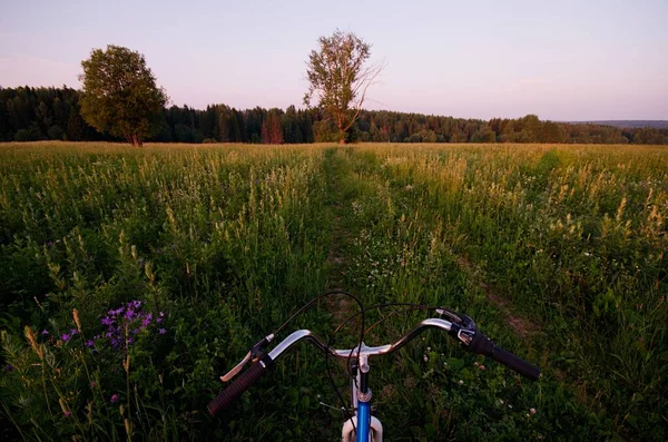 Bicicleta Campo Noche —  Fotos de Stock