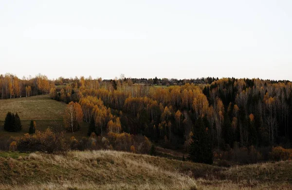 Sonbahar köyü sarı orman