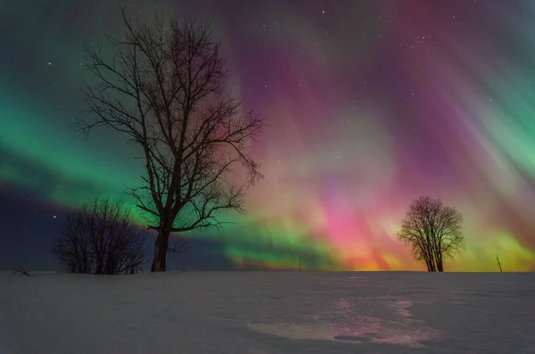 Aurora gece gökyüzünü boyuyor