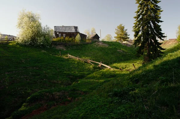 bahar evi yeşil çimenler