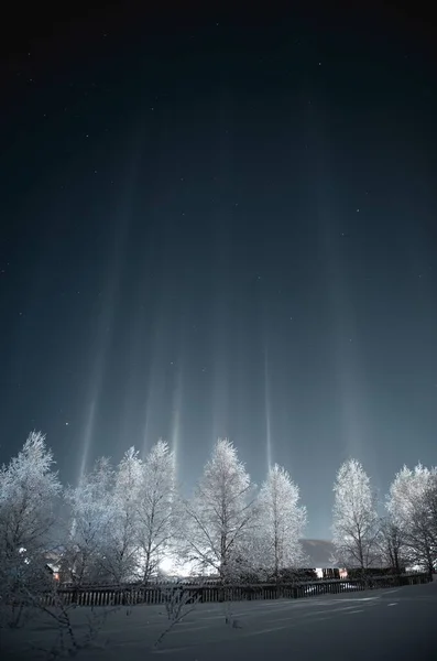 Kış tarlasında ışık direkleri