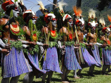 Papua Yeni Gine 'de Papualılar ulusal kıyafetlerle Hagen Dağı' nda geleneksel bir tatil yapıyorlar.