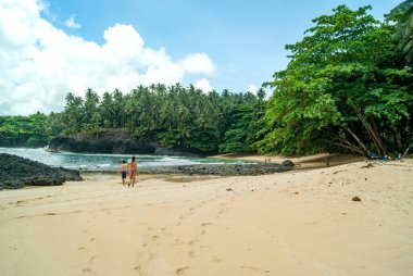 Plajda palmiye ağaçlarıyla yürüyen çift