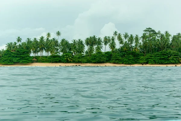 Desert Island Palm Trees View Sea — Stockfoto