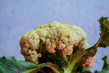 Brokoli sık sık sebze olarak yetiştirilen bir bitkidir.