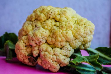 Brokoli sık sık sebze olarak yetiştirilen bir bitkidir.