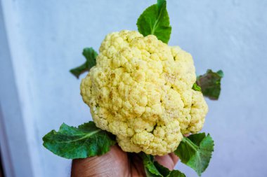 Brokoli sık sık sebze olarak yetiştirilen bir bitkidir.