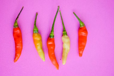 Renkli biber yayılıyor, boş arkaplan